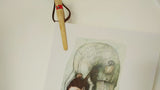 Leg Wheel and Jew Harp - calendar cut