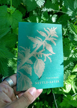 Nettle-Eater - the lost box!